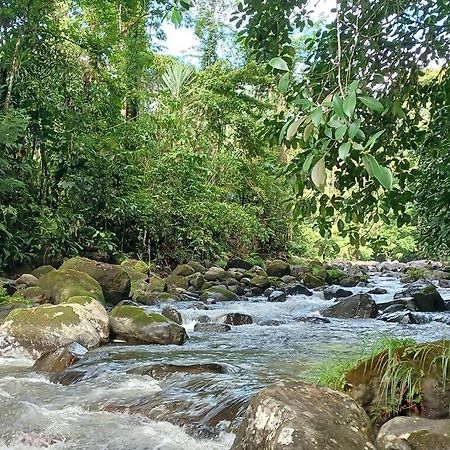 Villas Toecu - Casa Colibri La Fortuna Kültér fotó