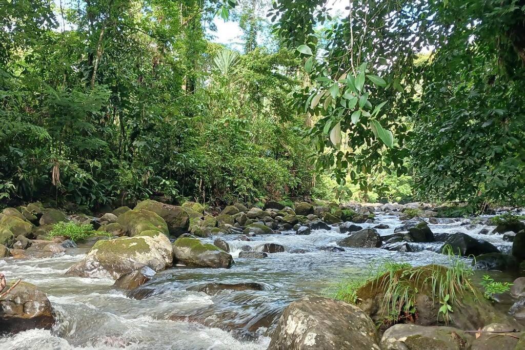 Villas Toecu - Casa Colibri La Fortuna Kültér fotó