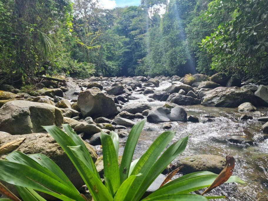Villas Toecu - Casa Colibri La Fortuna Kültér fotó